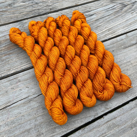 Maple Roasted Squash - Platinum Sock Minis