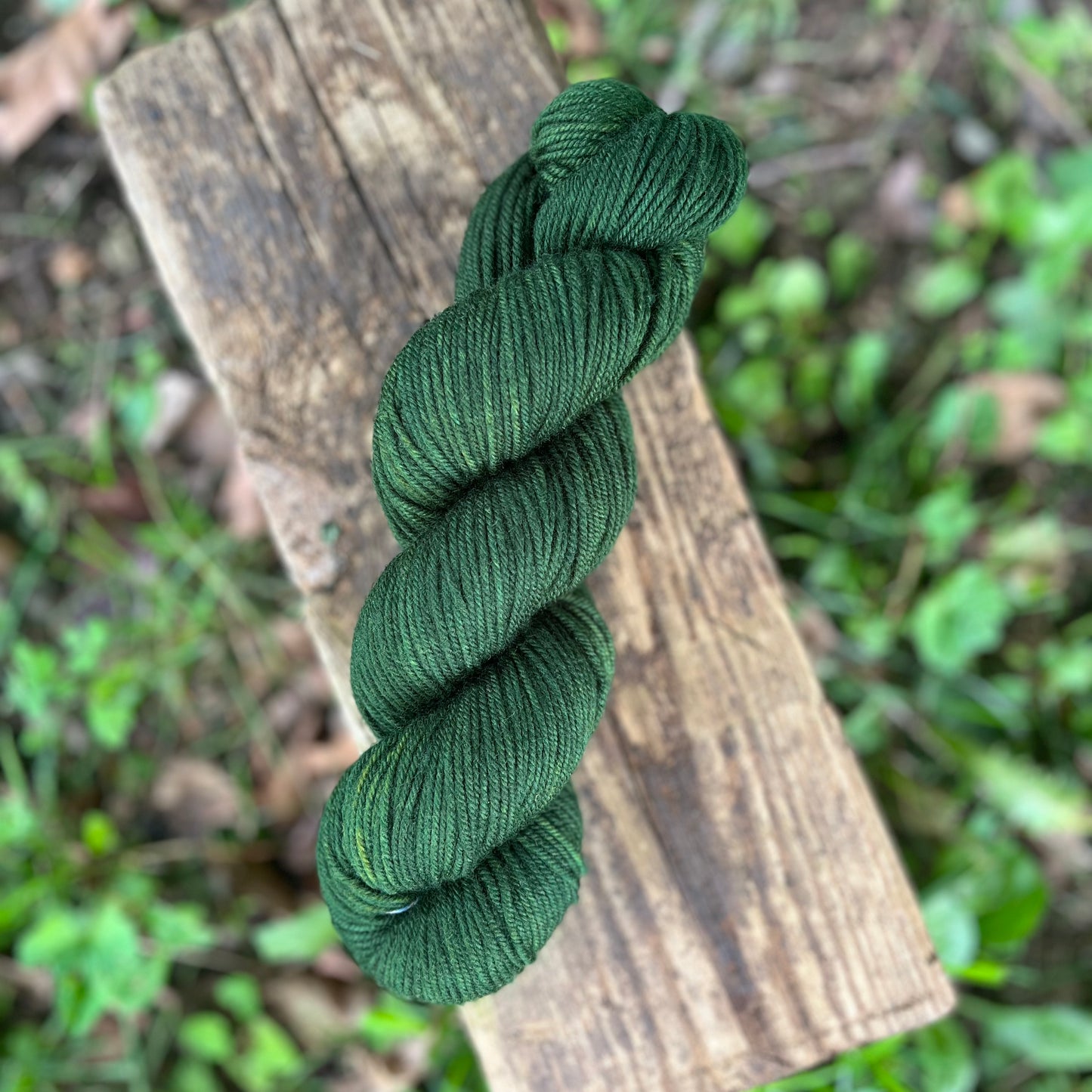 Moss Oak - Superwash DK Merino