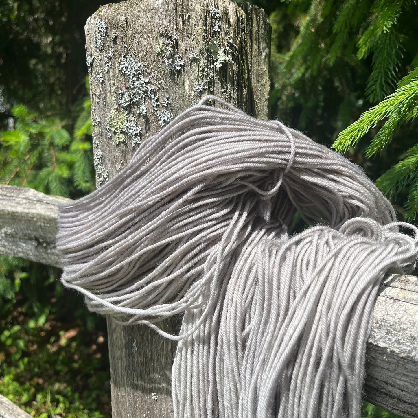 Silver Lichen - Superwash DK Merino
