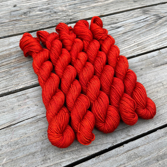 Sugar Maple - Platinum Sock Minis