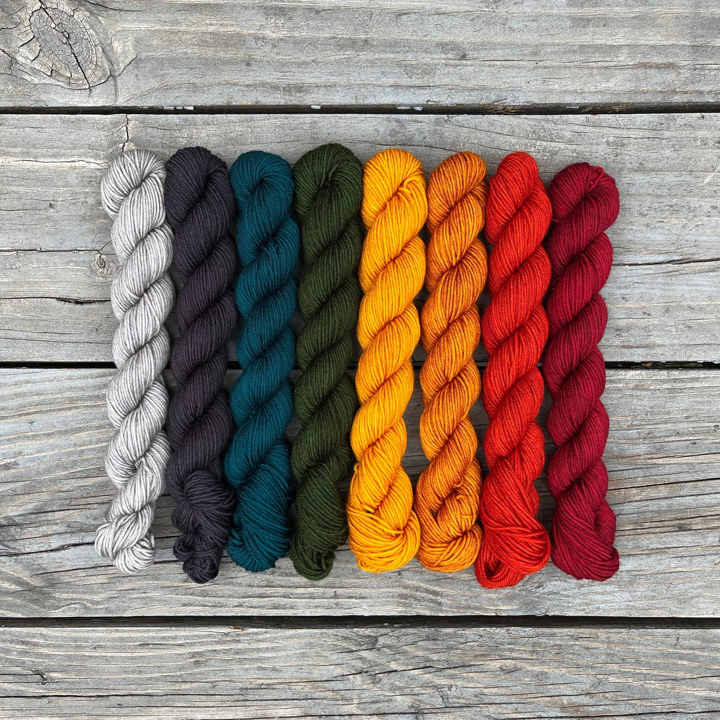 Sugar Maple - Platinum Sock Minis