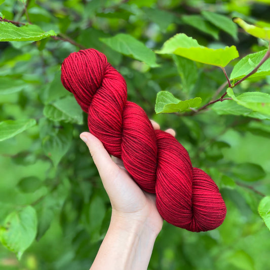 Candy Apple - Superwash DK Merino
