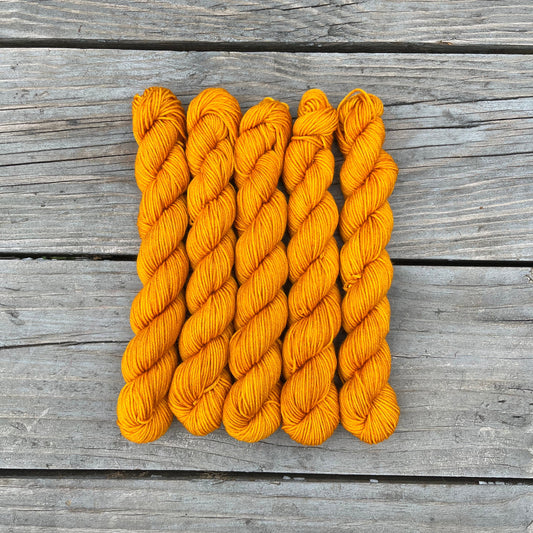First Harvest - Platinum Sock Minis