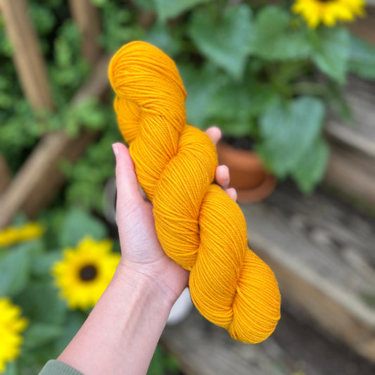 First Harvest - Superwash DK Merino