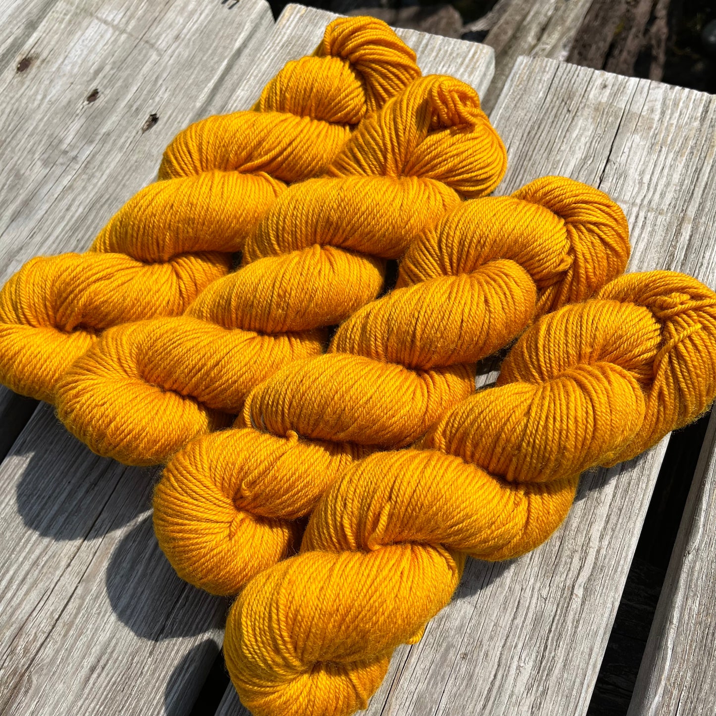 First Harvest - Superwash DK Merino