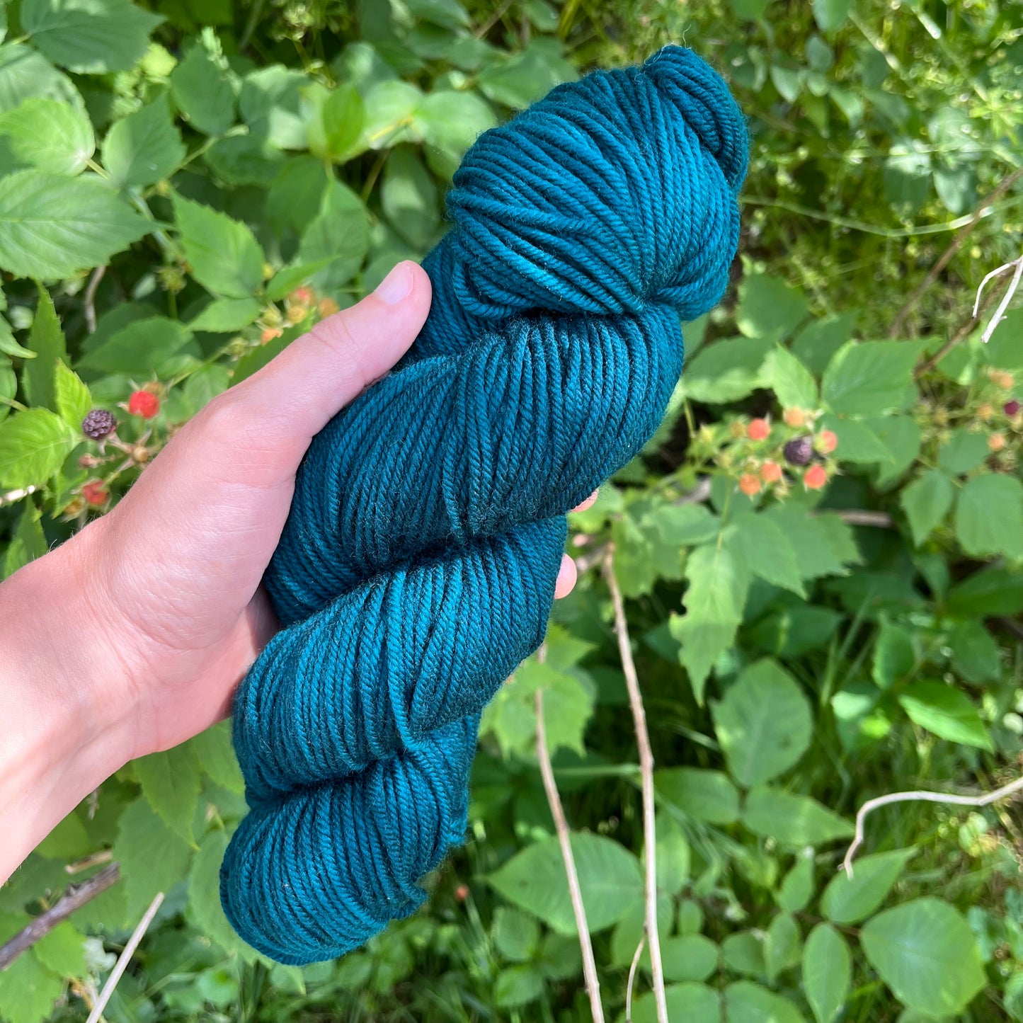 Green-Winged Teal - Superwash DK Merino