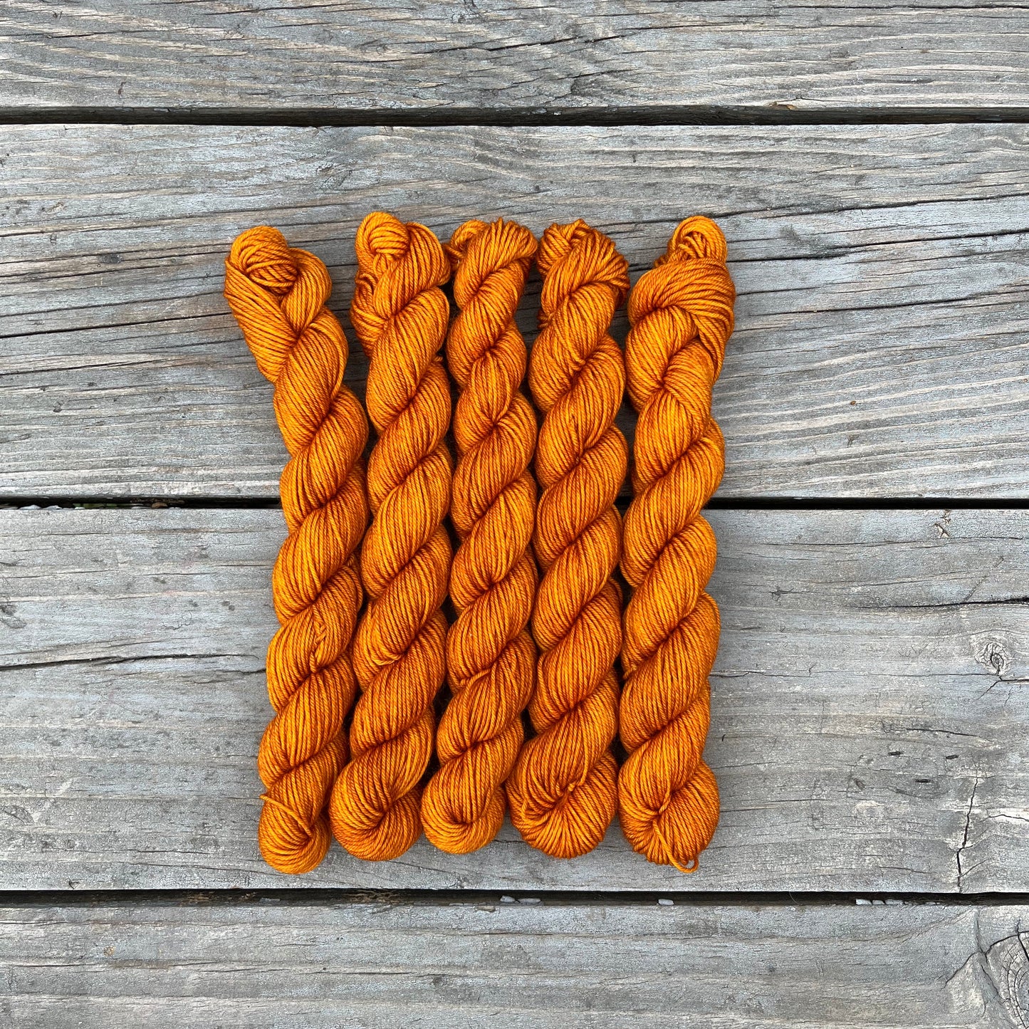 Maple Roasted Squash - Platinum Sock Minis