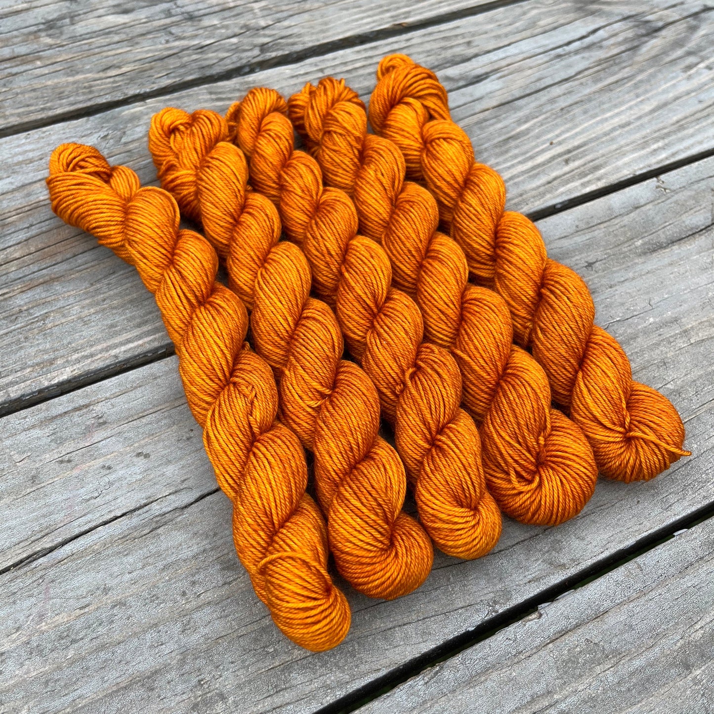Maple Roasted Squash - Platinum Sock Minis
