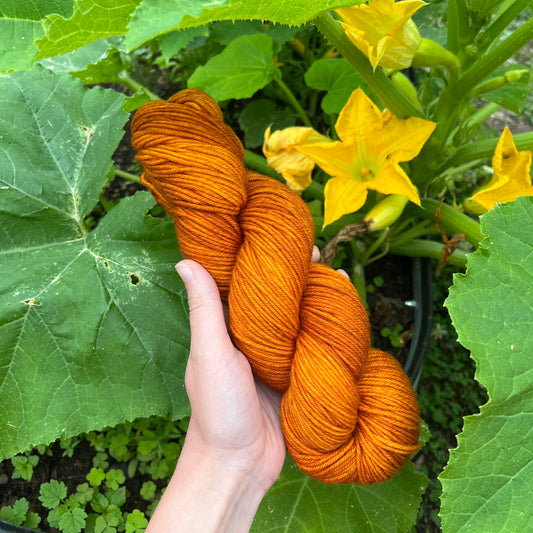 Maple Roasted Squash - Superwash DK Merino