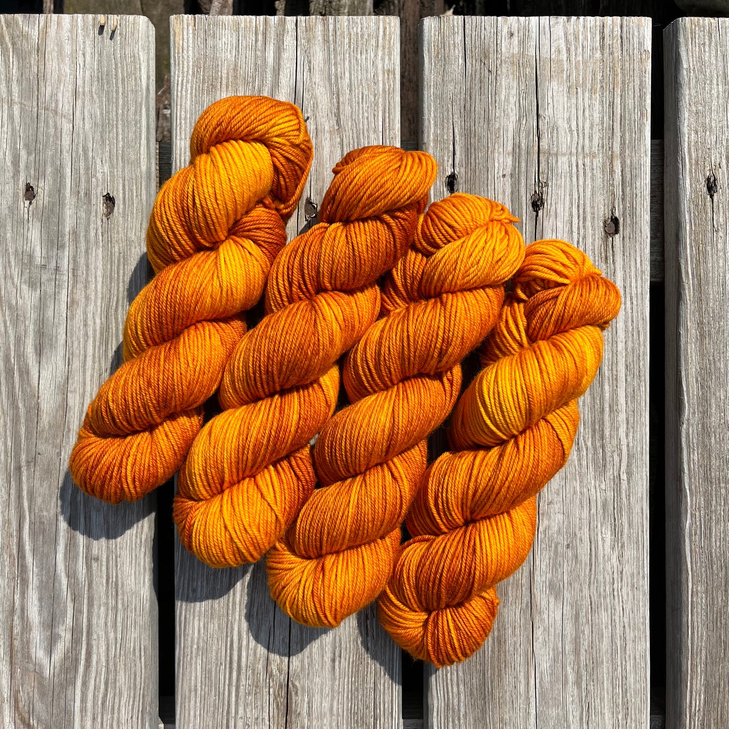 Maple Roasted Squash - Superwash DK Merino