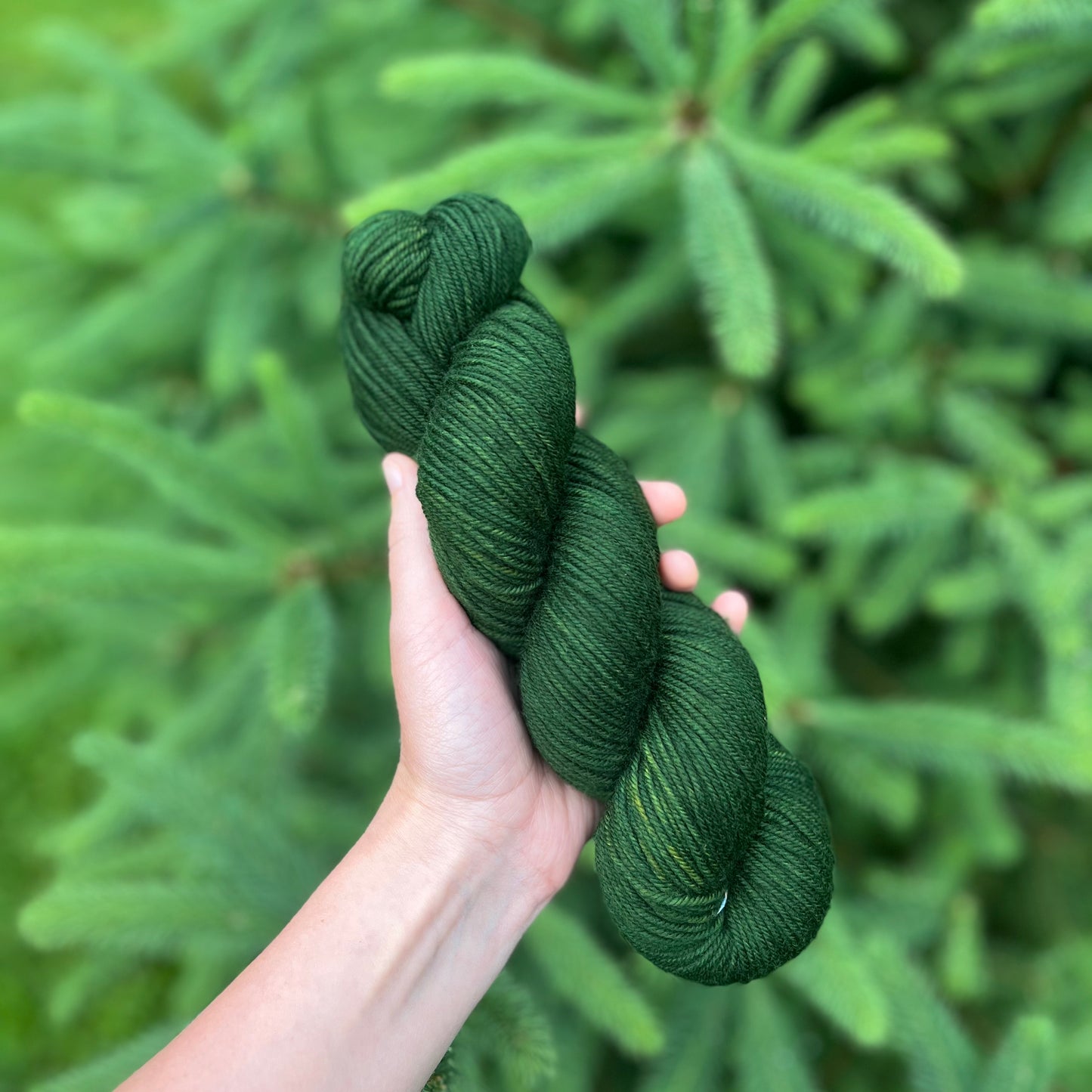 Moss Oak - Superwash DK Merino