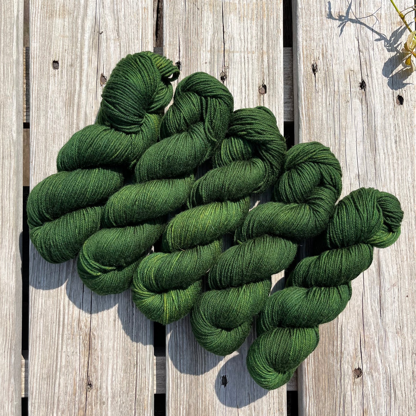 Moss Oak - Superwash DK Merino