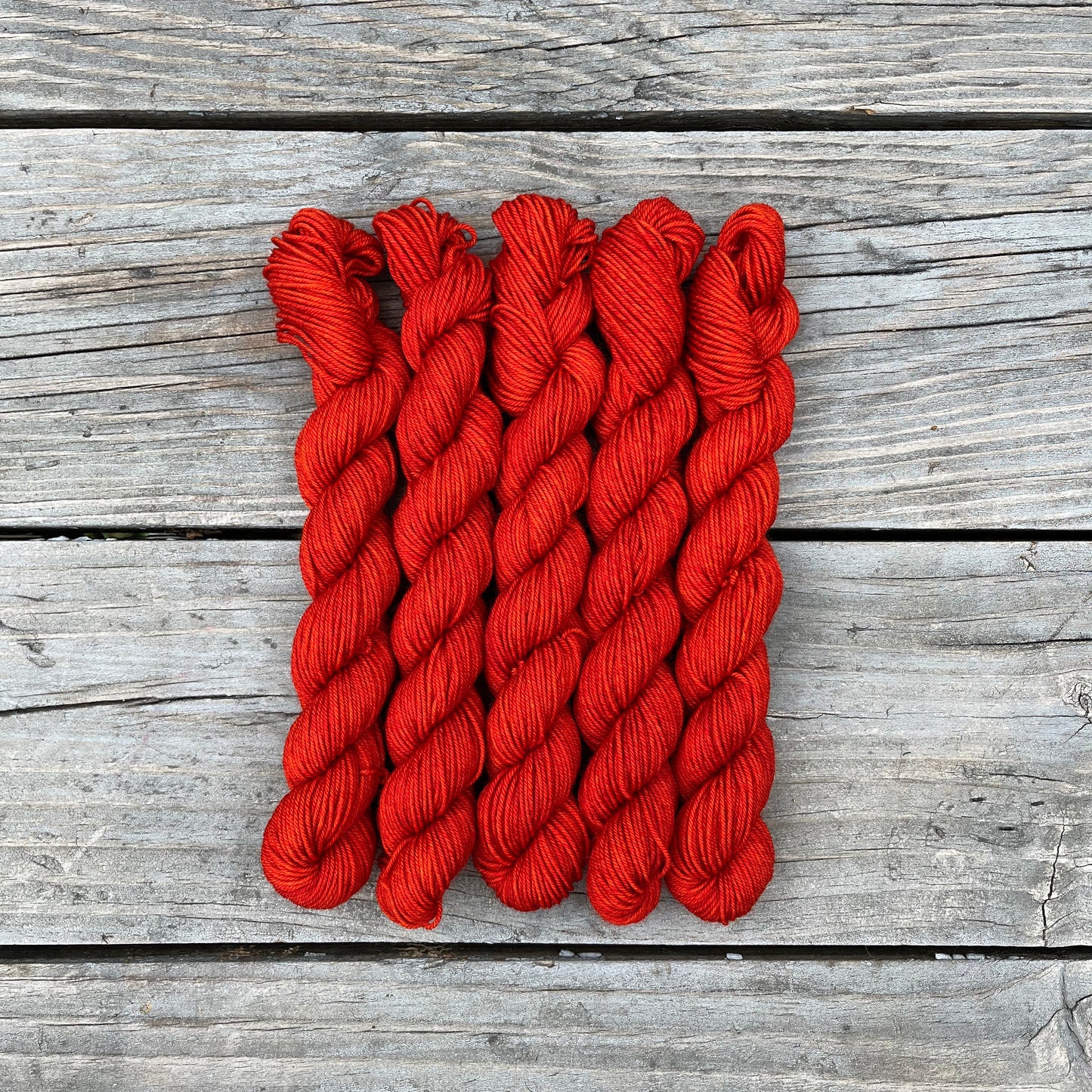 Sugar Maple - Platinum Sock Minis